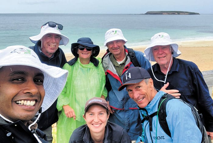 Hooded plover numbers take flight post image