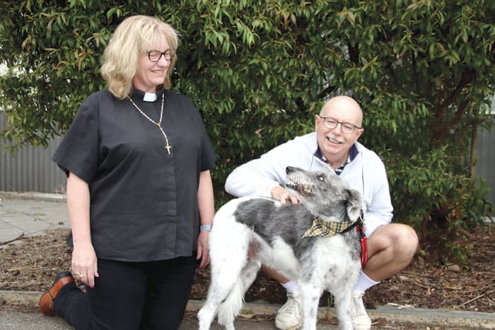 Blessing the pets post image