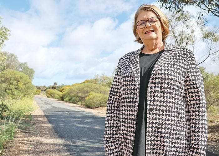 Potential Net Zero strategy post image