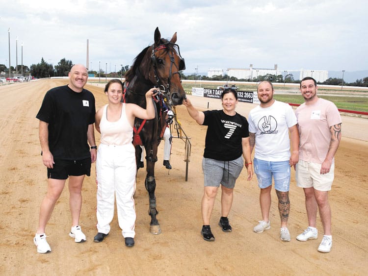 YP harness racing news post image