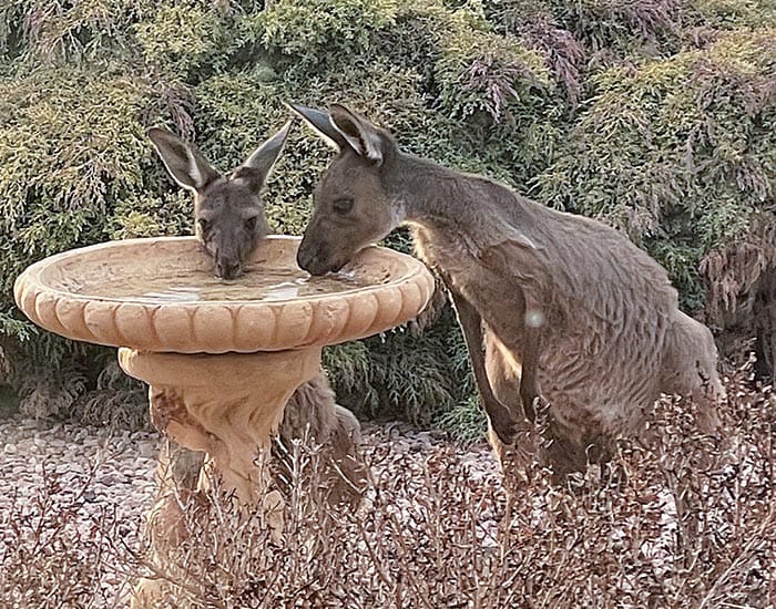 Hot, hot, hot: record breaking temperatures post image