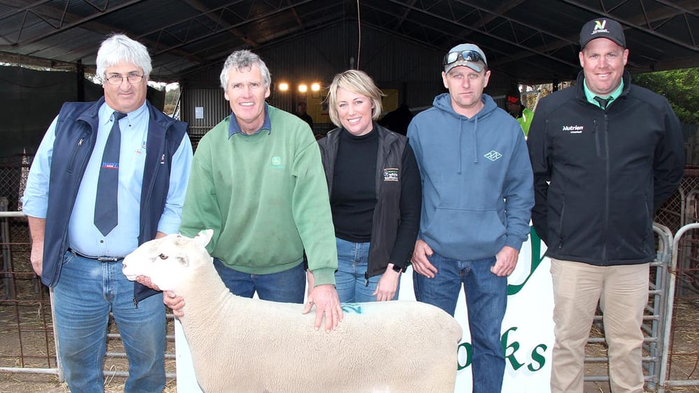 Jandebrey’s 22nd annual ram sale post image