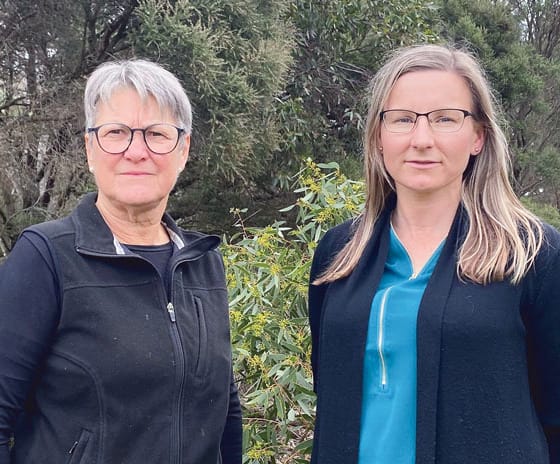 Council expresses concern over vegetation clearance post image