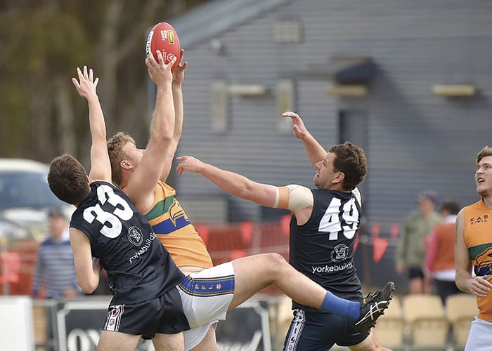 YPFL: Cougars find form ahead of finals post image