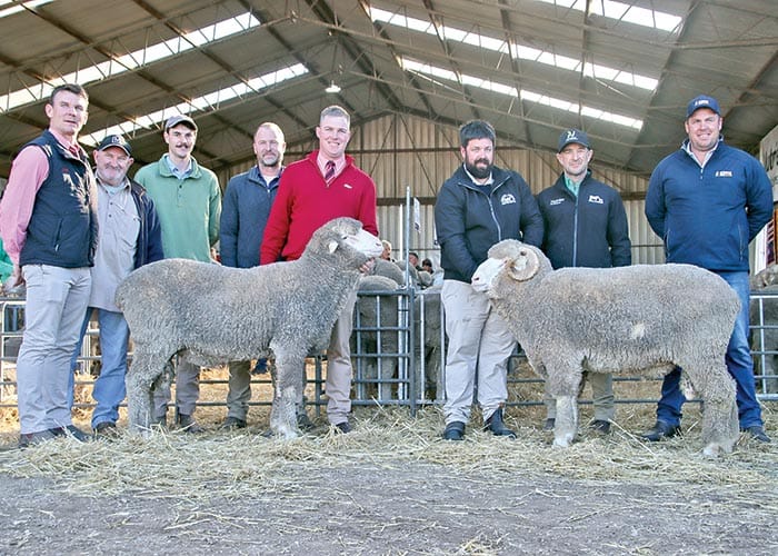 North Cowie prepares for 36th annual sale post image