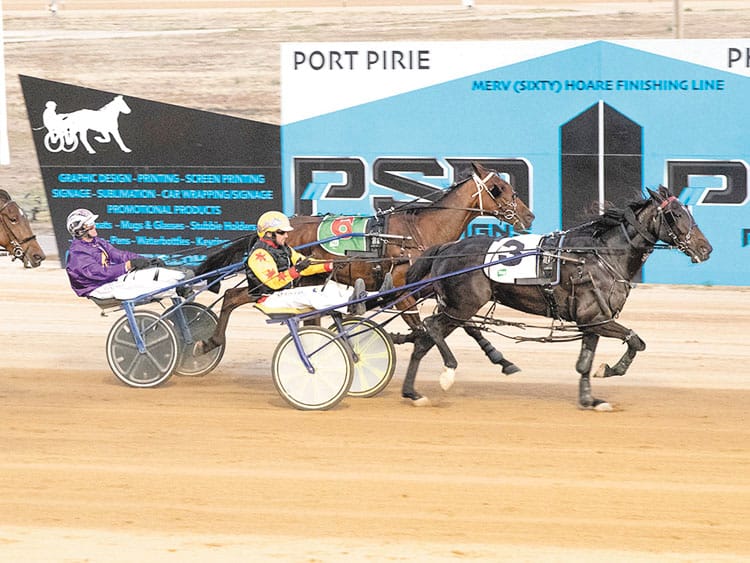 YP harness racing news post image