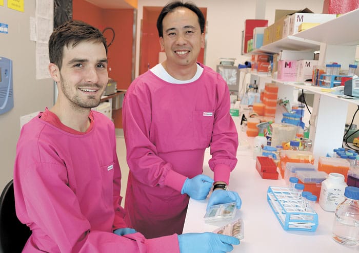 Genetic discovery improves wheat breeding post image