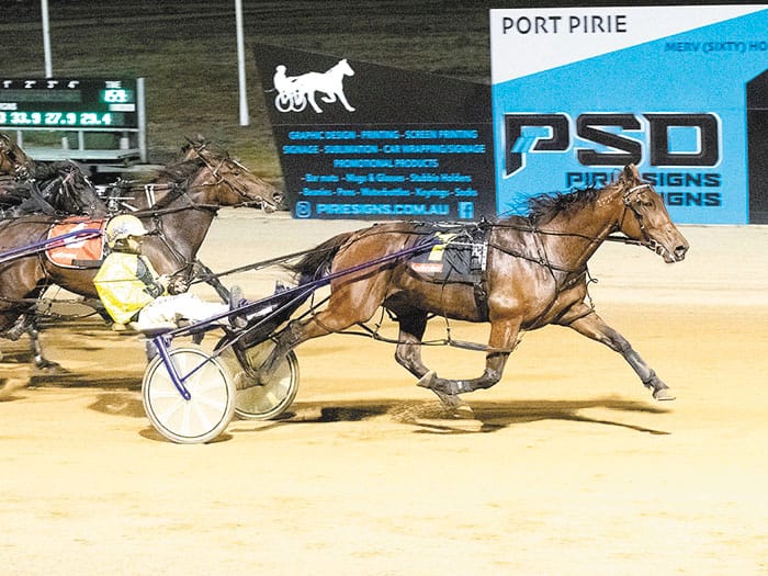 YP Harness Racing news post image