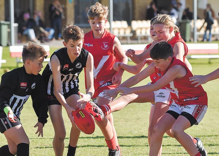 Cocks climb to third post image