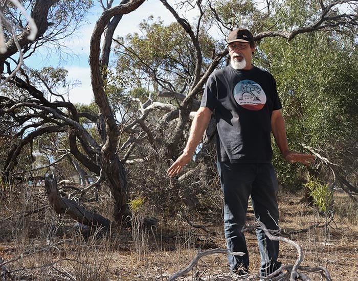 Country needs trees to survive post image