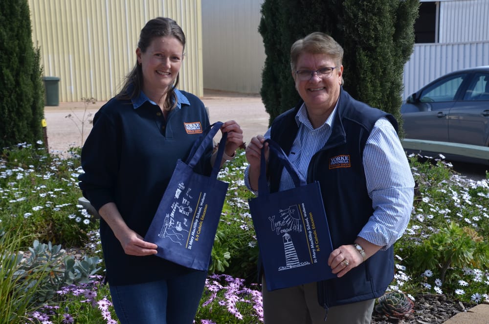 Discover the Greens Plains Track post image