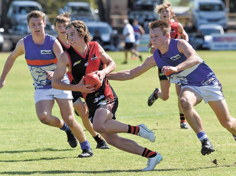 YPFL senior colts second semifinal - Bulldogs continue colts dominance post image