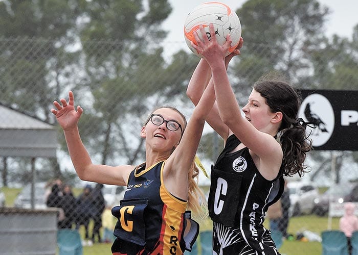 YPNA scores and reports post image