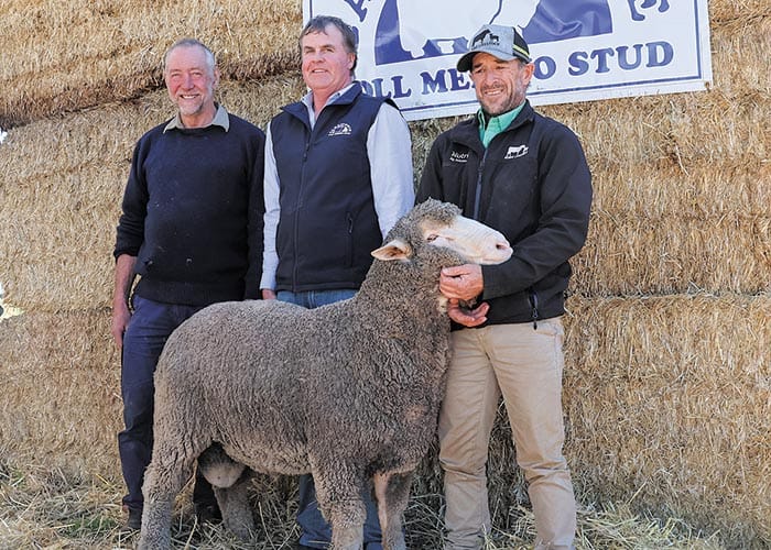 White River genetics on top at Carricowie post image