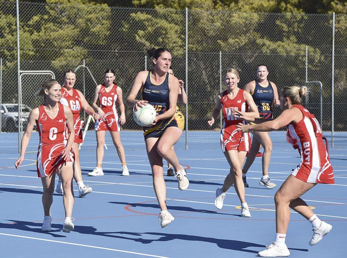 YP netball scores and reports post image