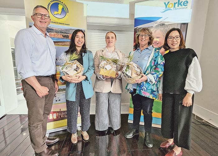 Moving towards accessibility post image