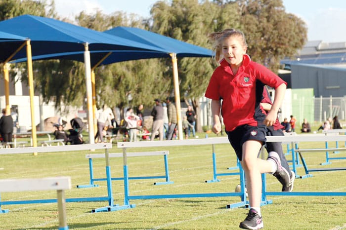 NYP Little Athletics season starts post image