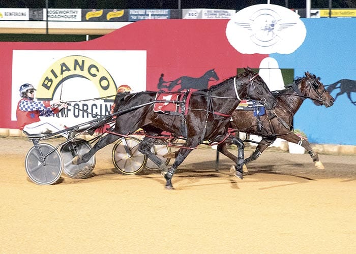 YP harness racing post image