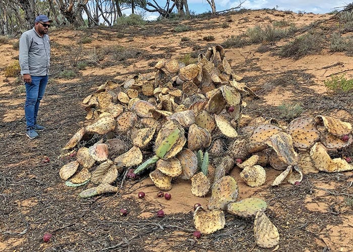 Landscape board defends its work post image