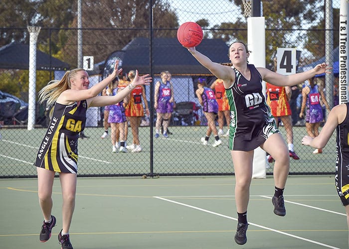 Players and spectators flock to KDNA Carnival post image