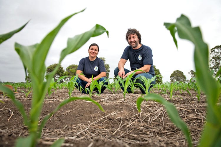 Growers needed for research post image