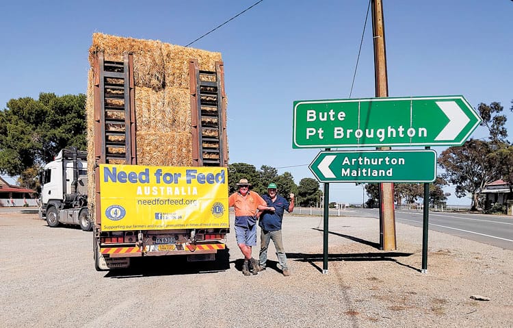 Wanted: YP stock feed for Mid North stock post image
