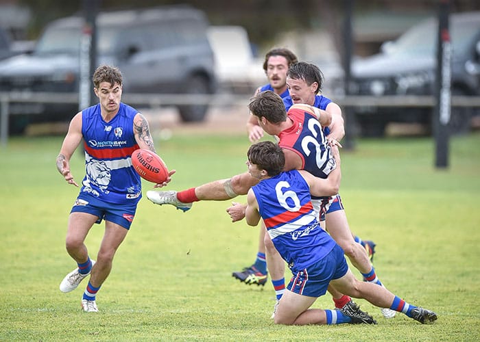 YPFL: Winless Dogs defeated by dominant Dees post image