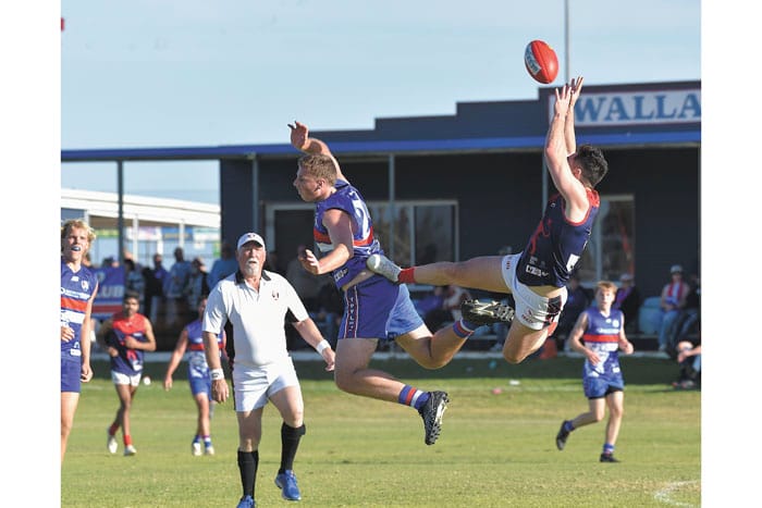 YPFL: Disappointing Dogs done by Dees post image