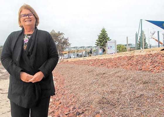 Seawall to mitigate foreshore damage post image