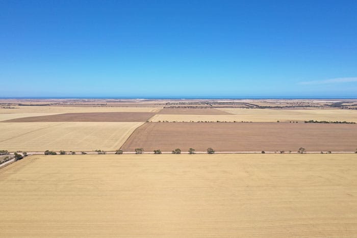 YPC discusses rate increase for primary production post image