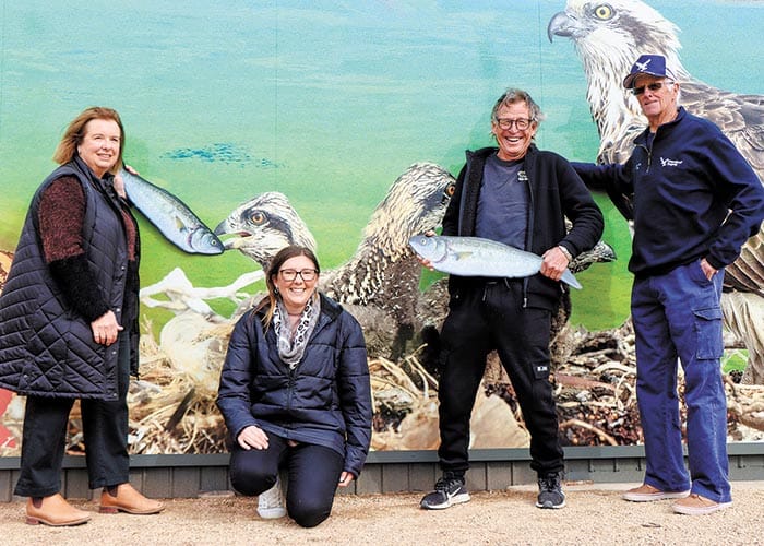 Spirit of the community post image