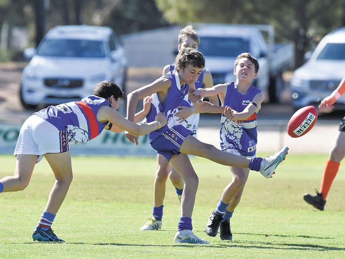 YPFL junior colts 1st semifinal - Roos roar into prelim with last gasp win post image