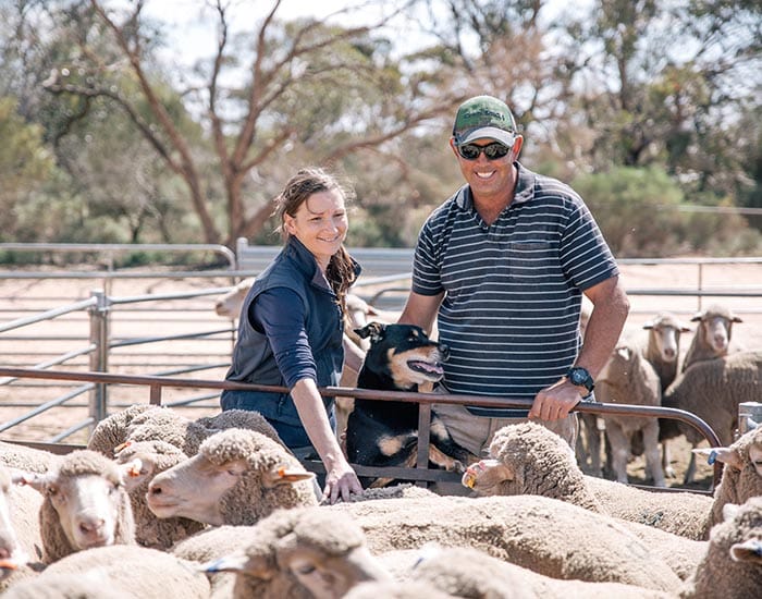 Destocking a harsh reality as drought deepens post image