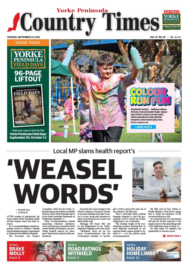 September 23, 2025 post image