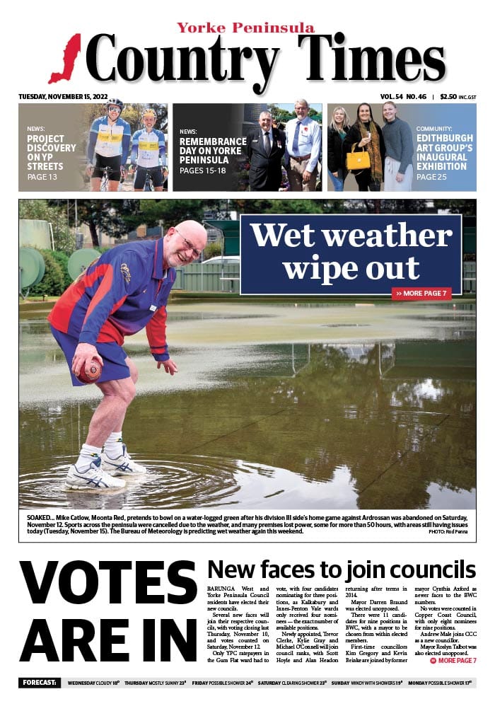 November 15, 2022 post image