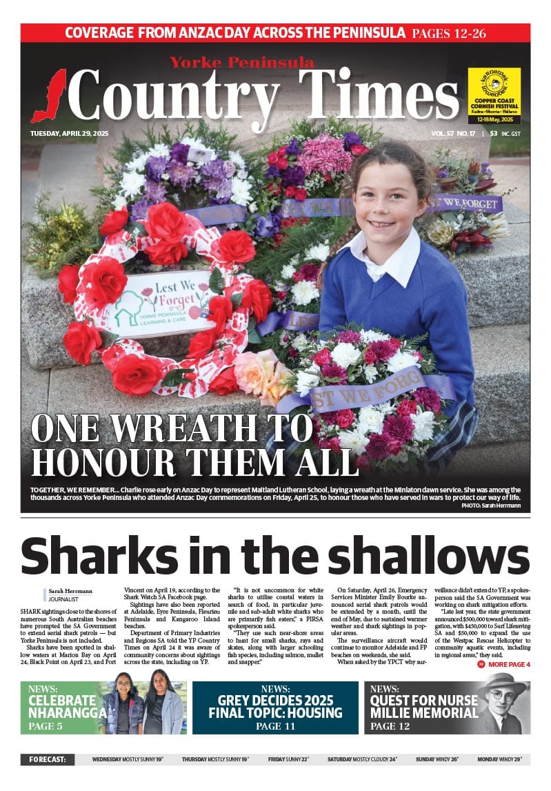 April 29, 2025 post image