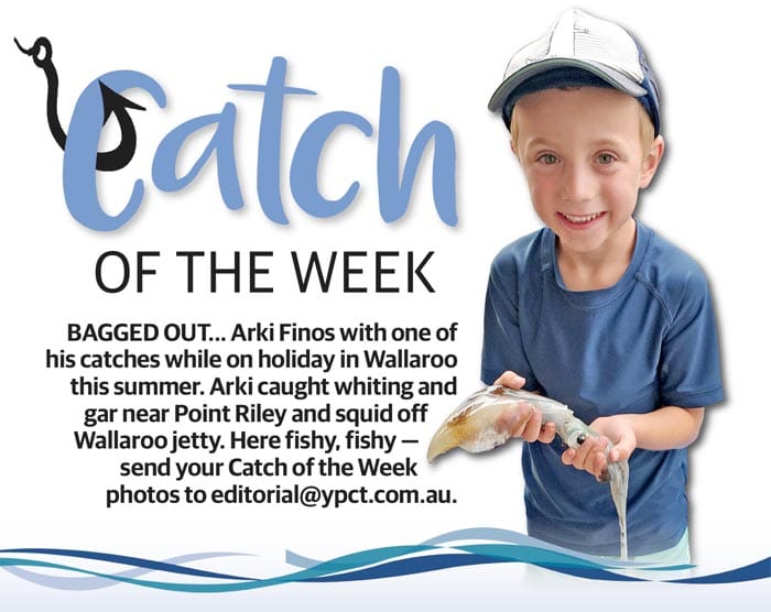 Catch of the Week post image