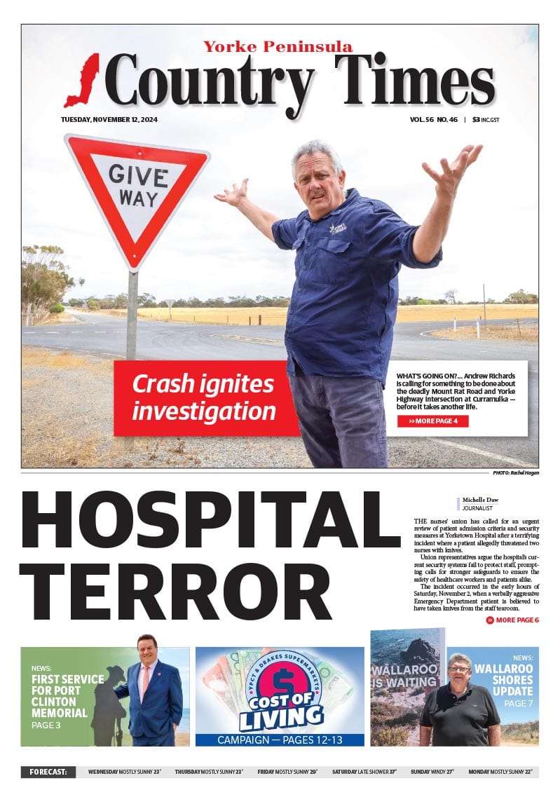 November 12, 2024 post image