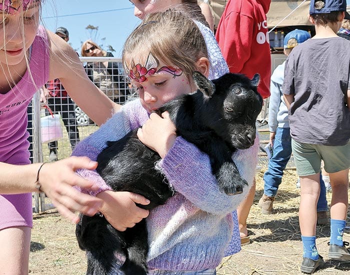 2025 SYP Show set to thrill in Minlaton post image