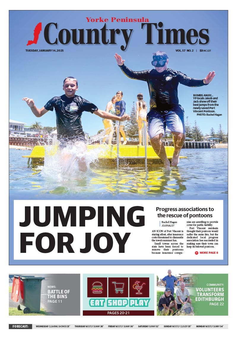 January 14, 2025 post image