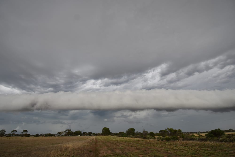 Severe weather warning in place for state post image