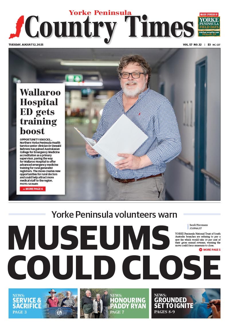 August 12, 2025 post image