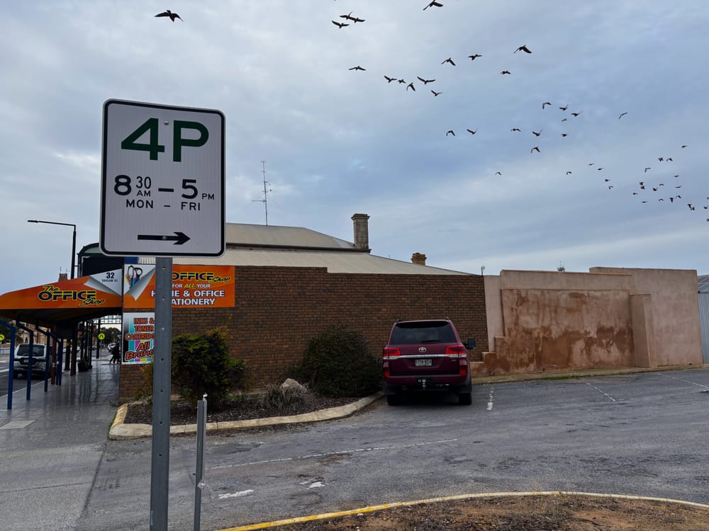 Council defends employee over parking remarks post image