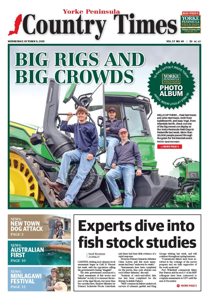 October 8, 2025 post image