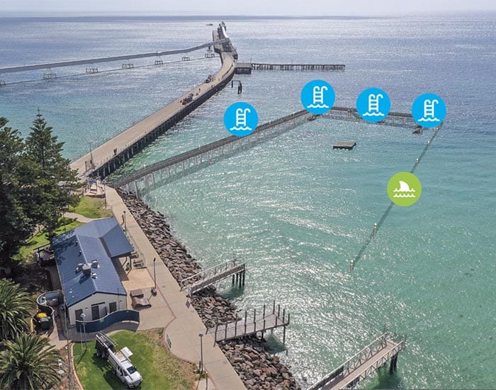 Shark net shortfall post image