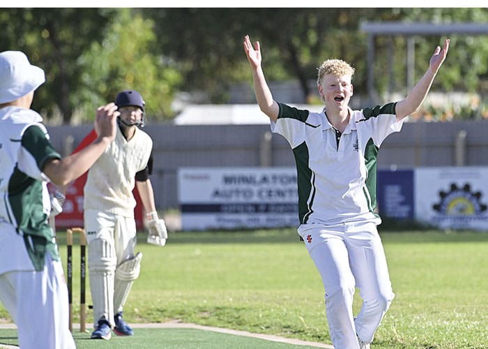 YP cricket scores post image