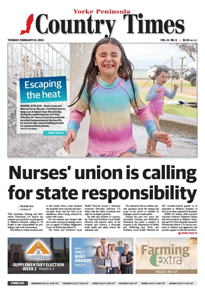 February 28, 2023 post image