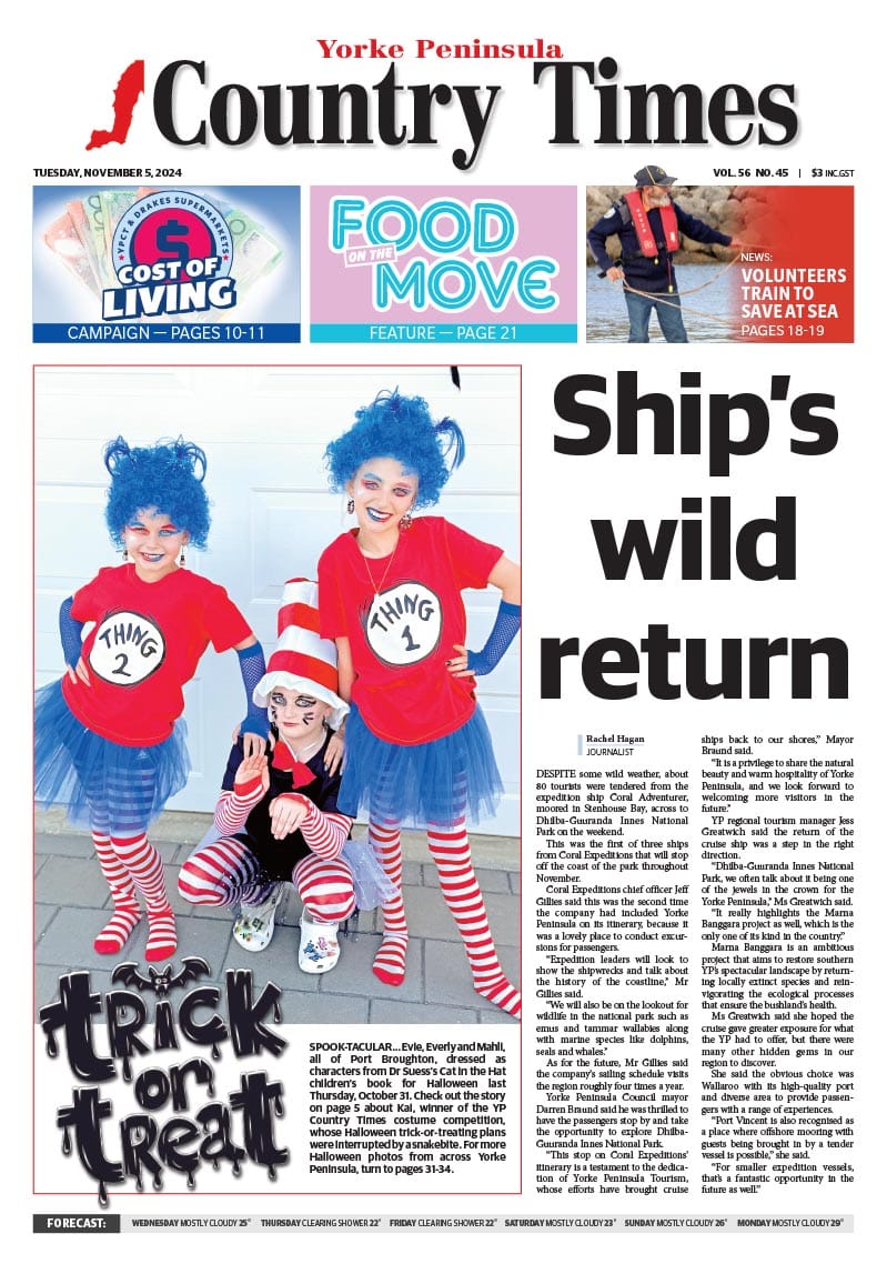 November 5, 2024 post image