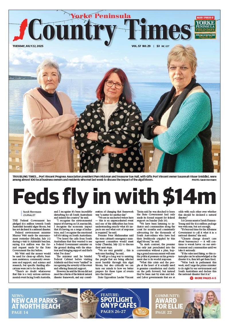 July 22, 2025 post image