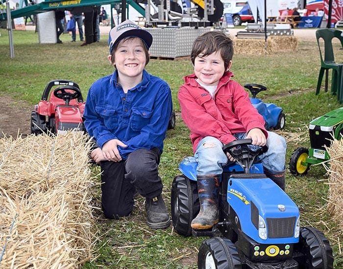 CROWDS FLOCK TO YP FIELD DAYS post image